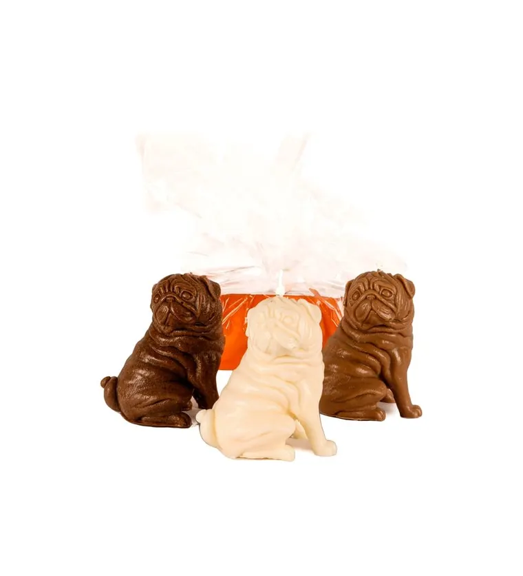 3'lü Kahverengi- Beyaz Pug Mum Tasarım - Bitlis çiçek siparişi