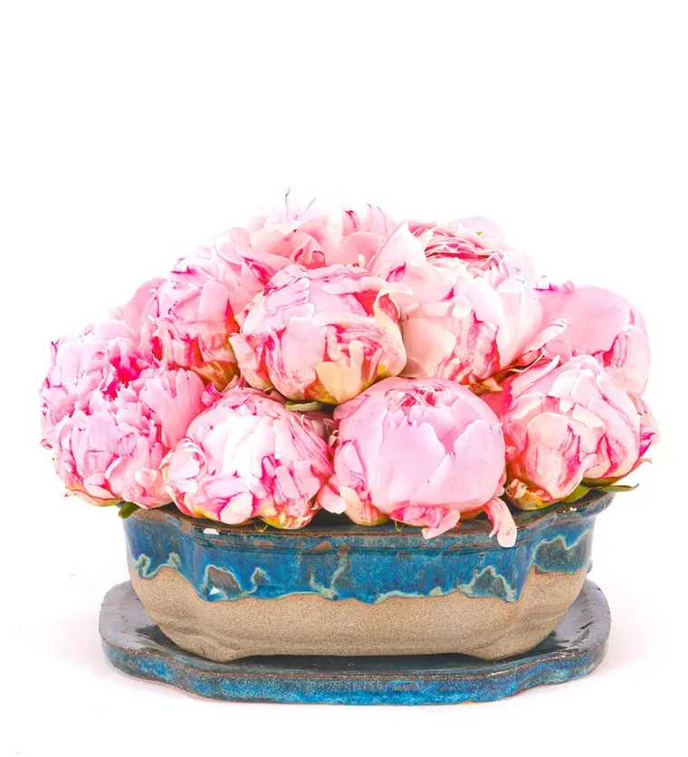 Art of Ceramic Series - Şakayık (Peony) Tasarım - Bitlis çiçek siparişi