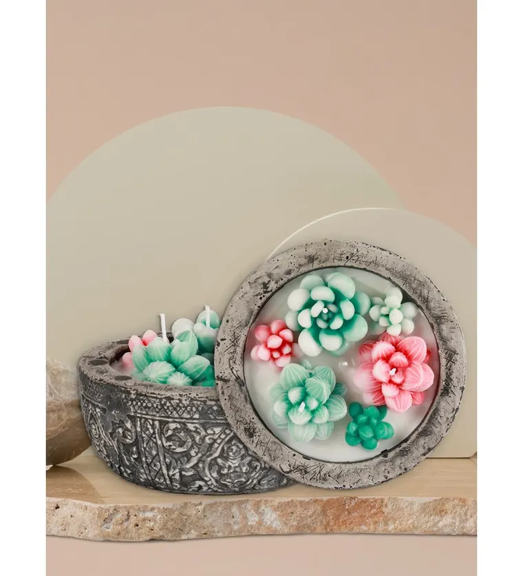 Doğal Soya Wax Kayıp Hazineler Mix Sukulent Dekoratif Mum - Bitlis çiçek siparişi