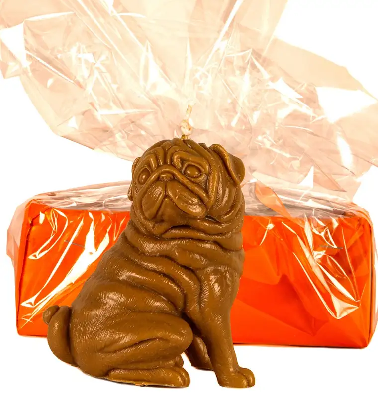 Kahverengi Pug Mum Tasarım - Bitlis çiçek siparişi