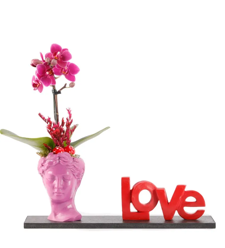 Love Serisi Mini Helen ve Orkide Tasarım - Aksaray çiçek siparişi