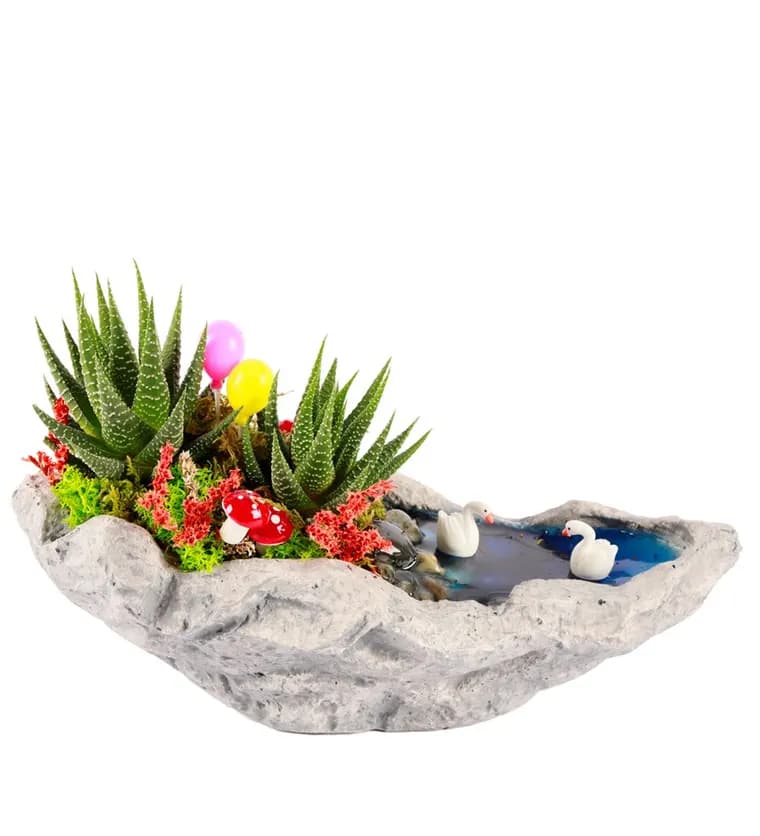 Marineris Serisi Balonlu Haworthia Teraryum - Bartın çiçek siparişi