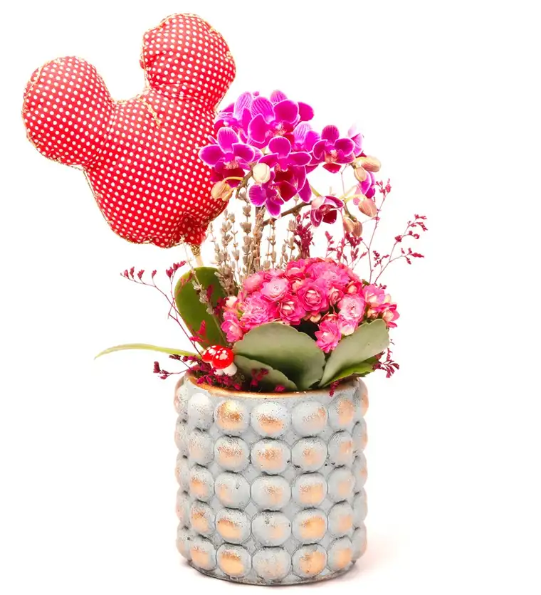 Mickey Mouse Figürlü Sweet Candy Serisi Mini Mor Orkide ve Kalanchoe Tasarım - Aksaray çiçek siparişi