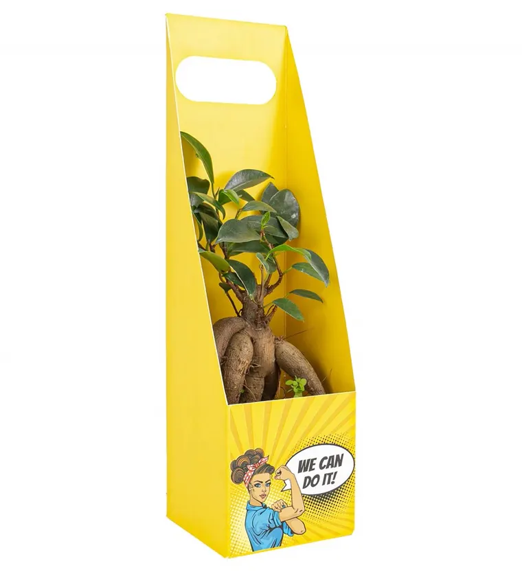 We Can Do It Serisi Mini Bonsai Tasarım - Ağrı çiçek siparişi